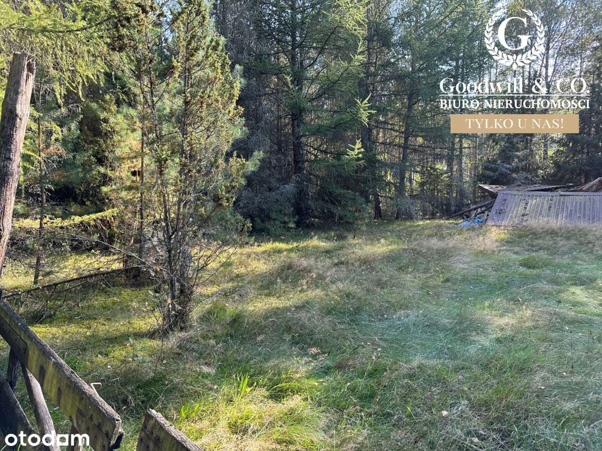Działka rekraacyjna w - Pełny obrazek: 5/5