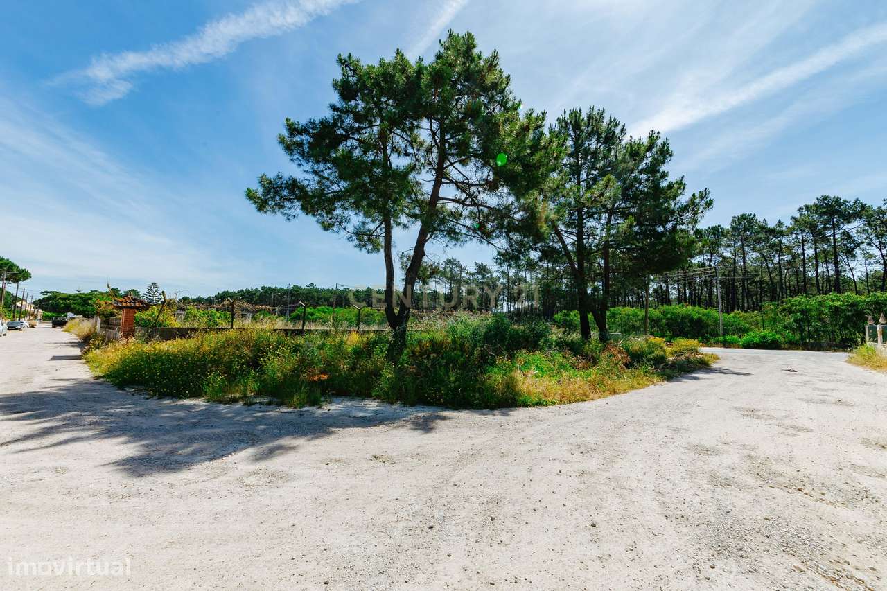 Terreno Urbano na Charneca de Caparica | Pinhal da Aroeira-12