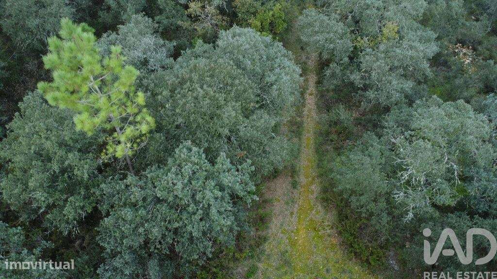 Terreno em Areias e Pias de 1080,00 m2 - Grande imagem: 5/21