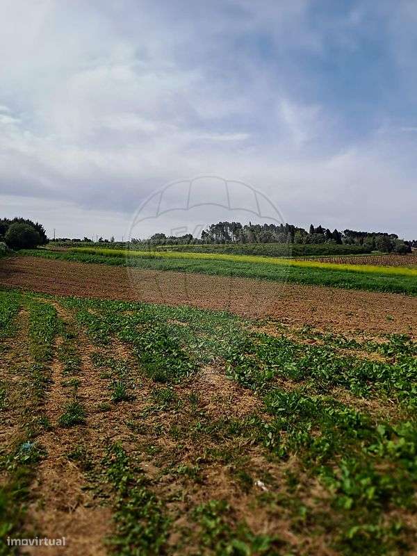 Terreno  para venda - Grande imagem: 3/6