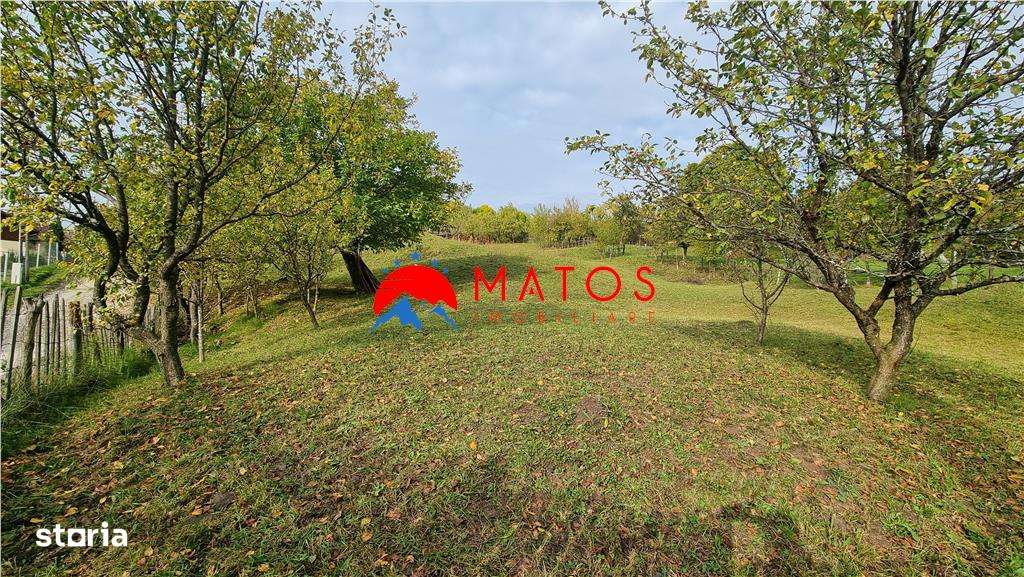 Teren intravilan 2918 mp de vânzare Talea, Prahova | 0% comision-7