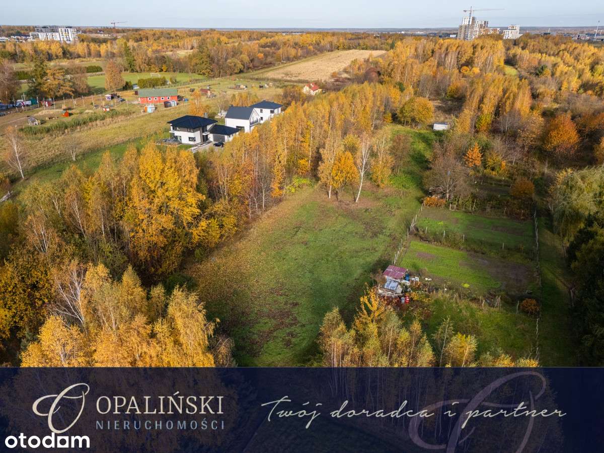 Kameralna okolica | Krakowska | WZ | Zieleń-0