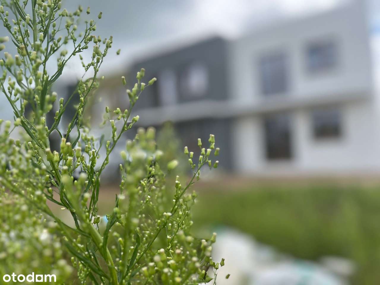 Mieszkanie Apartament Brodnica Deweloperskie z Prywatnym Ogrodem NOWE!-6