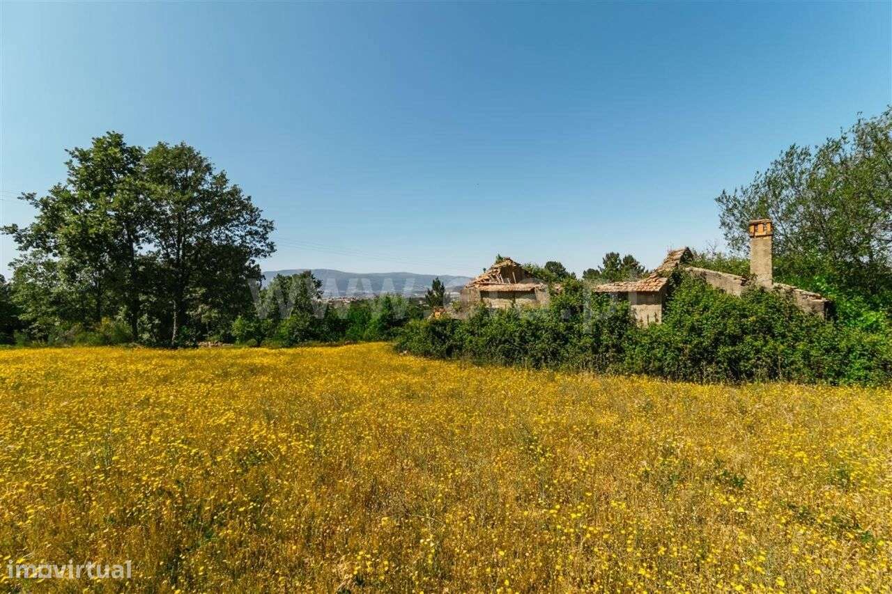 Terreno / Fundão, Donas - Grande imagem: 3/20