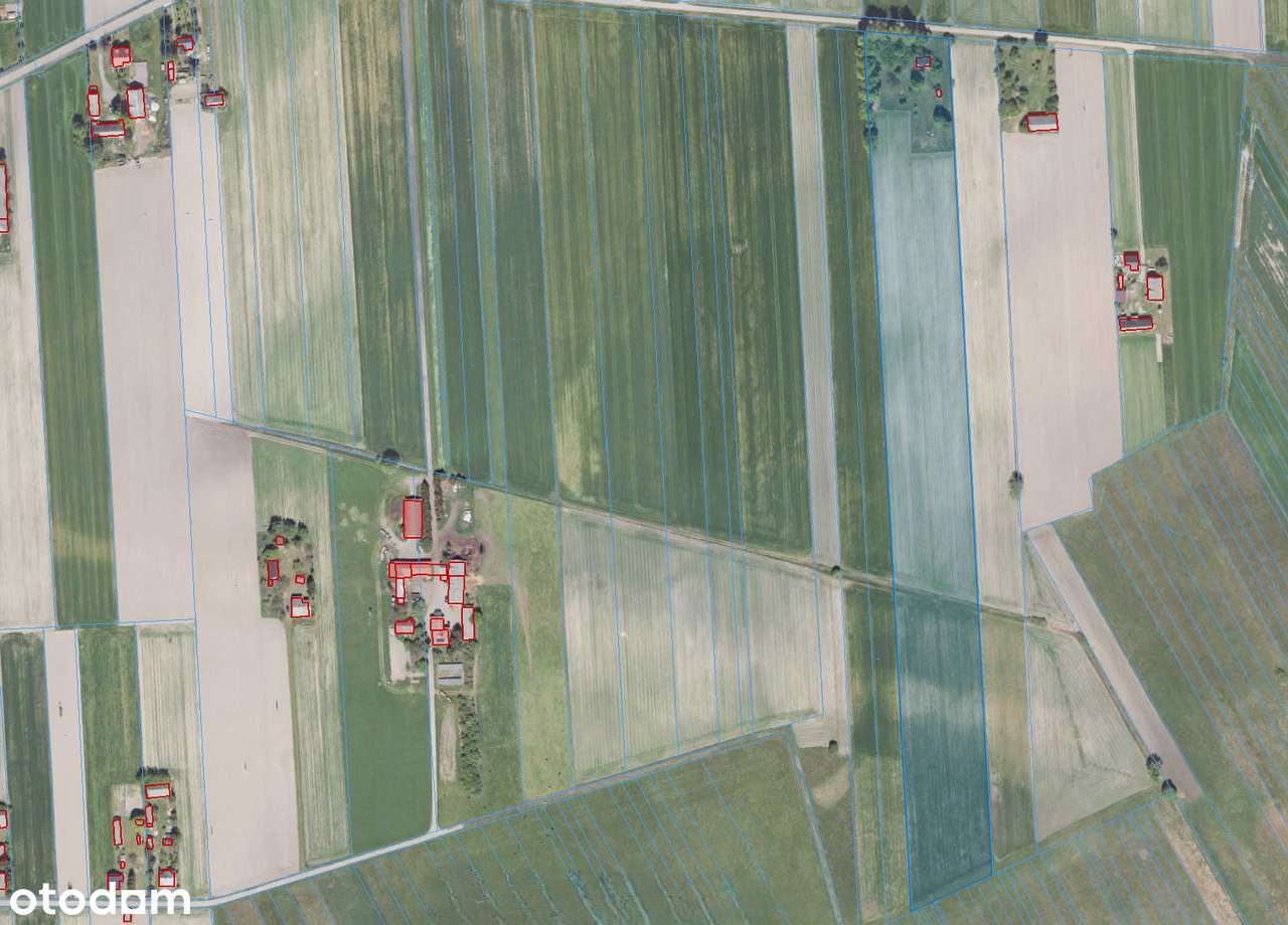 Uroczy drewniany domek, siedlisko, duża działka - Siedlanów 21-300-4