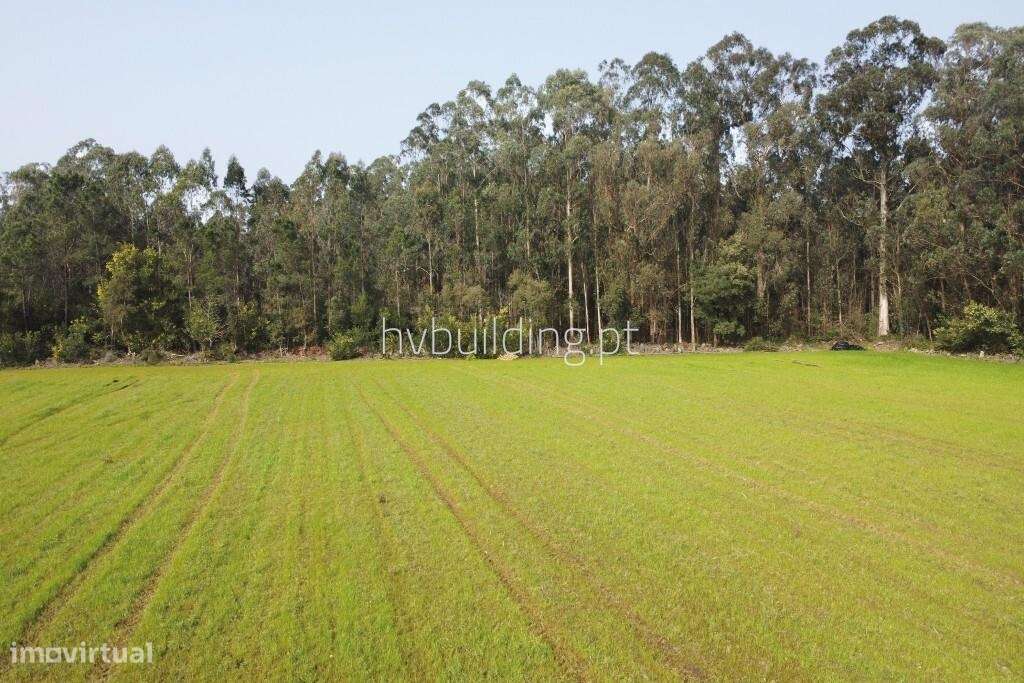 Terreno para construção em Gemeses, Esposende-5