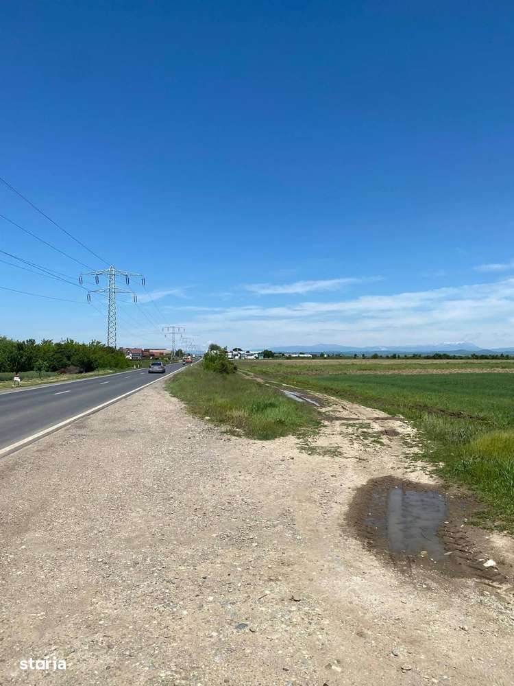Vanzare teren extravilan la DN71, iesirea din Bungetu Dambovita-1