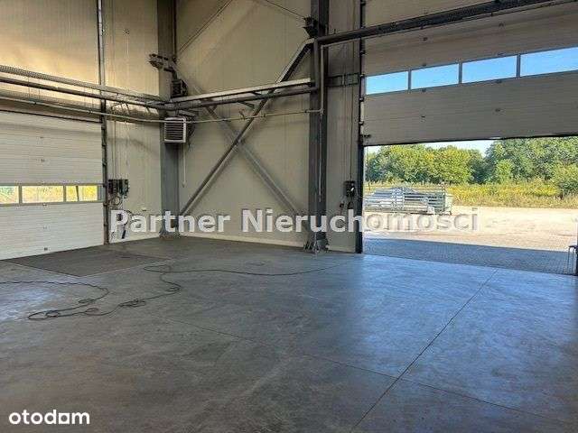 Hala - Magazyn 2600 M !!!! - Pełny obrazek: 4/10