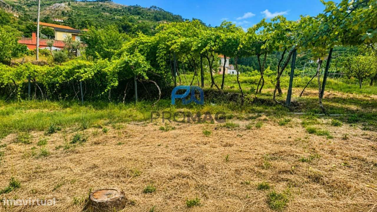 Quinta T6 em São Martinho de Mouros-46