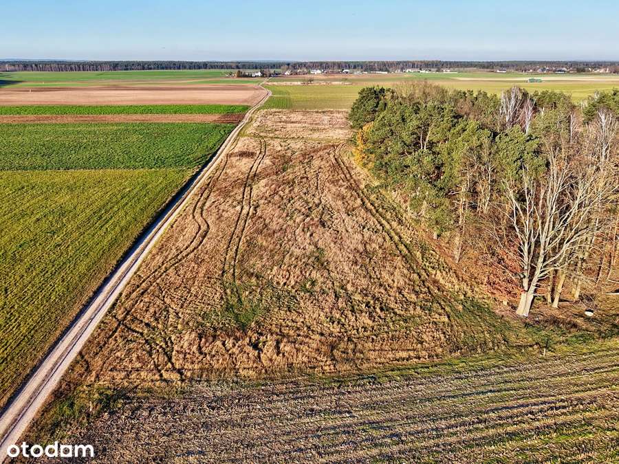 Działka budowlana przy lesie - Margonin-10