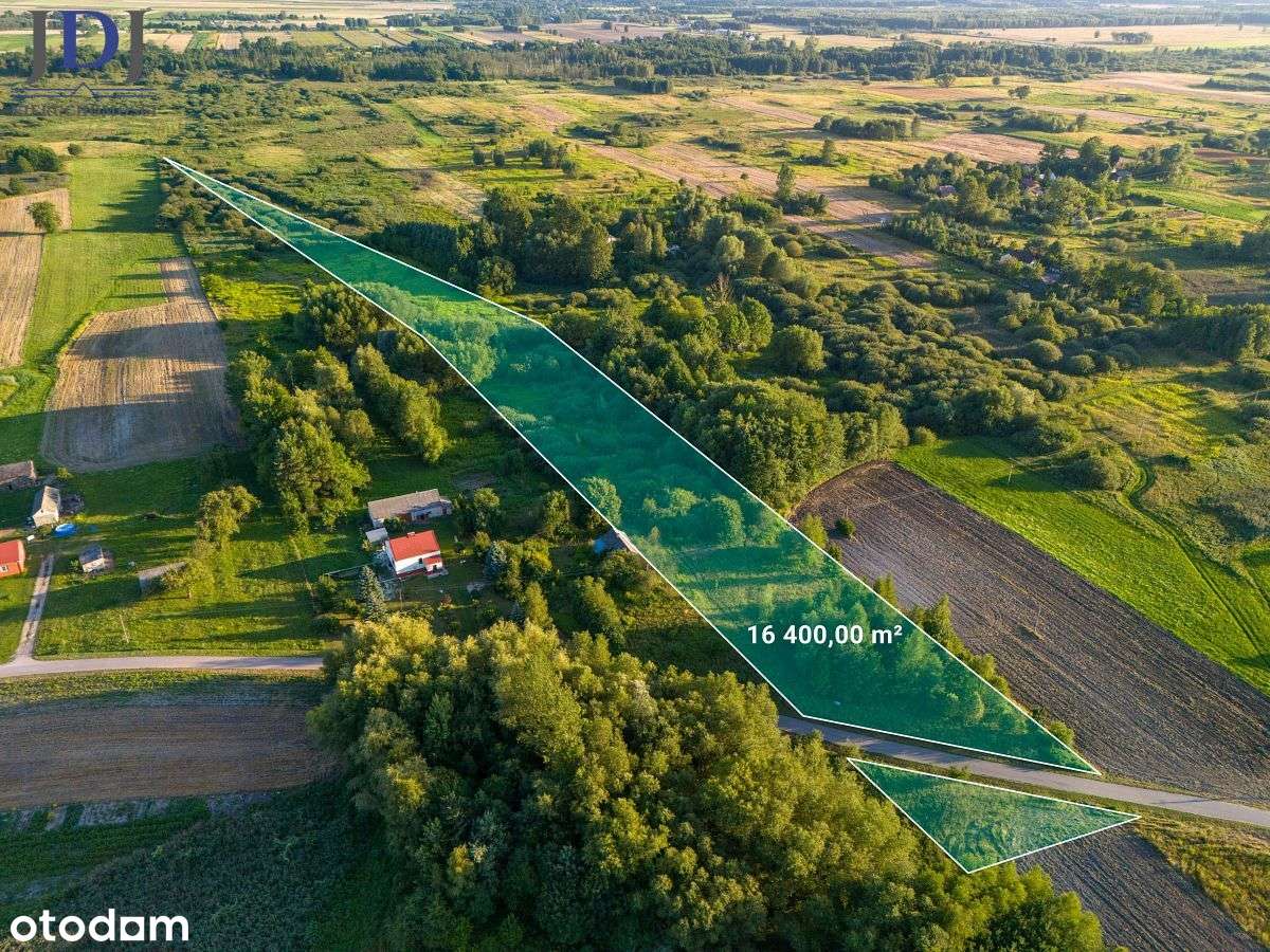 Działka.1.64 ha.Chojno Nowe Pierwsze.Lubelskie - Pełny obrazek: 1/6