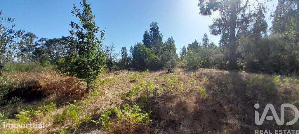 Terreno em Seixo da Beira de 3000,00 m2 - Grande imagem: 4/25