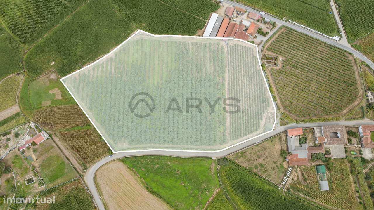 Terreno Rústico com Potencial para Agroturismo - Grande imagem: 4/16