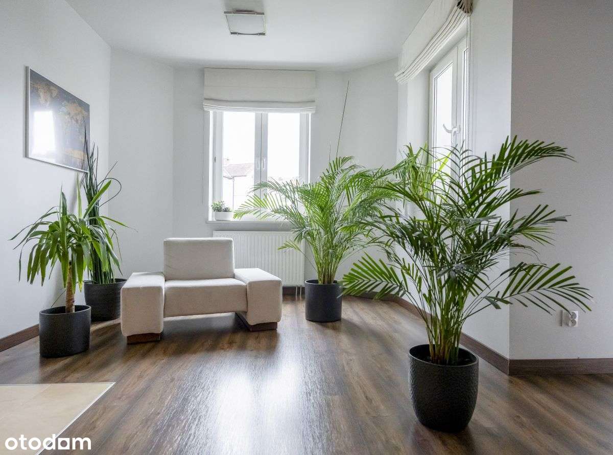 Obok parku Cietrzewia | Klimatyzacja | 2 x Garaż - Pełny obrazek: 4/15