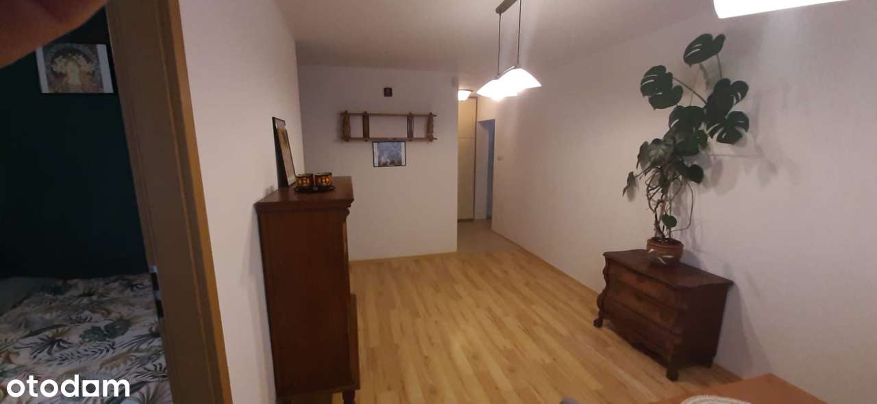 Katowice, Ligota, 3 pokoje, po gruntownym remoncie,meble,wysoki parter-15