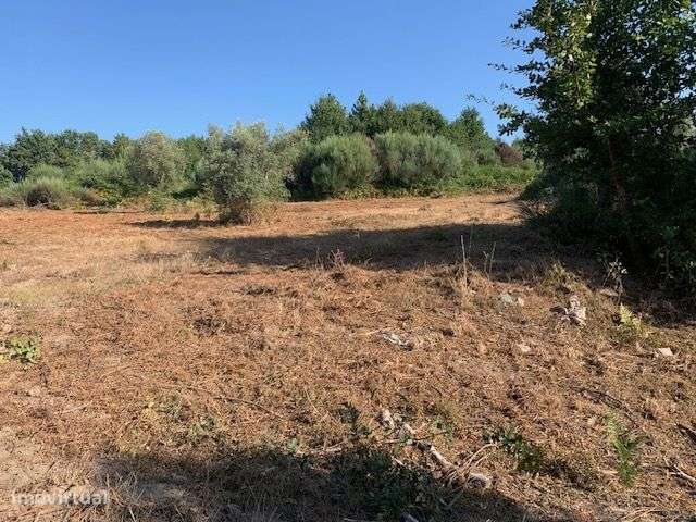 Quinta do Barreiro com 2 Casas para Recuperar-15