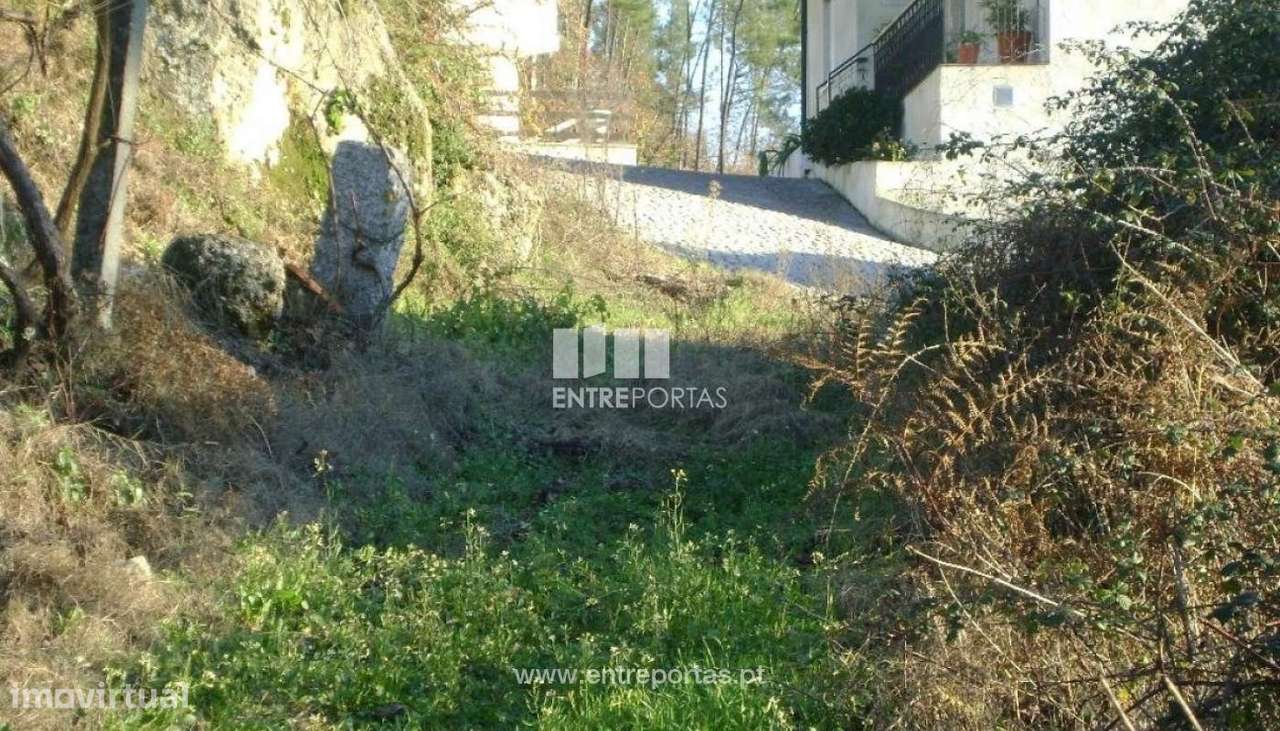 Venda Terreno, Várzea de Ovelha e Aliviada, Marco de Canaveses - Grande imagem: 4/11