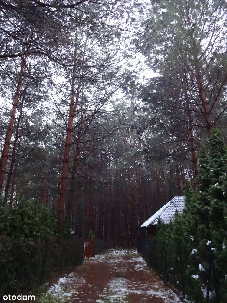 Dom rekreacyjny całoroczny - Życiny Jezioro Chańcza. Do wejścia!-16
