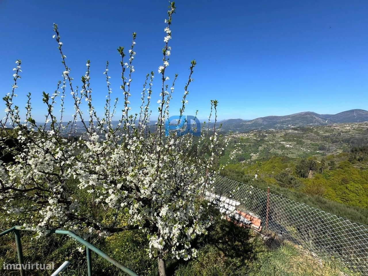 Moradia com excelente área, piscina e plena privacidade-8