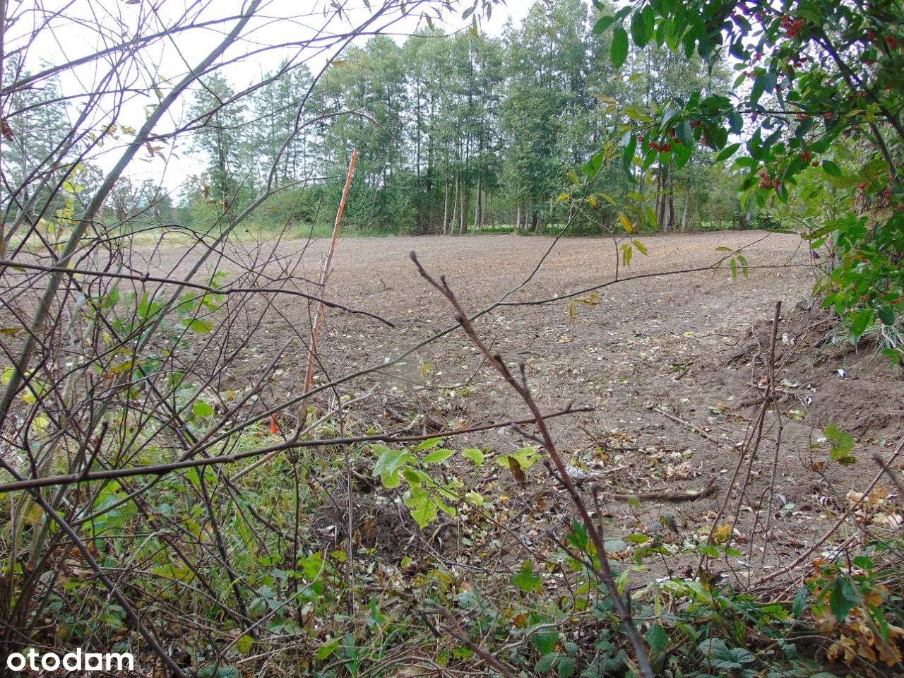 Działka bud.usł. Zielona Góra 1000/1210 m2 197, 50-0