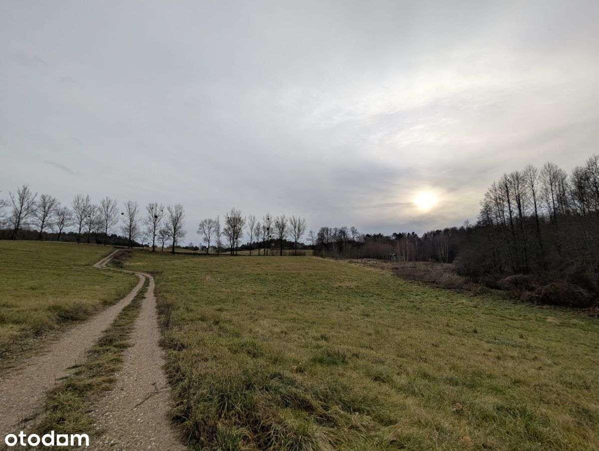 Działka z linią brzegową jeziora Mleczówka - Pełny obrazek: 4/6
