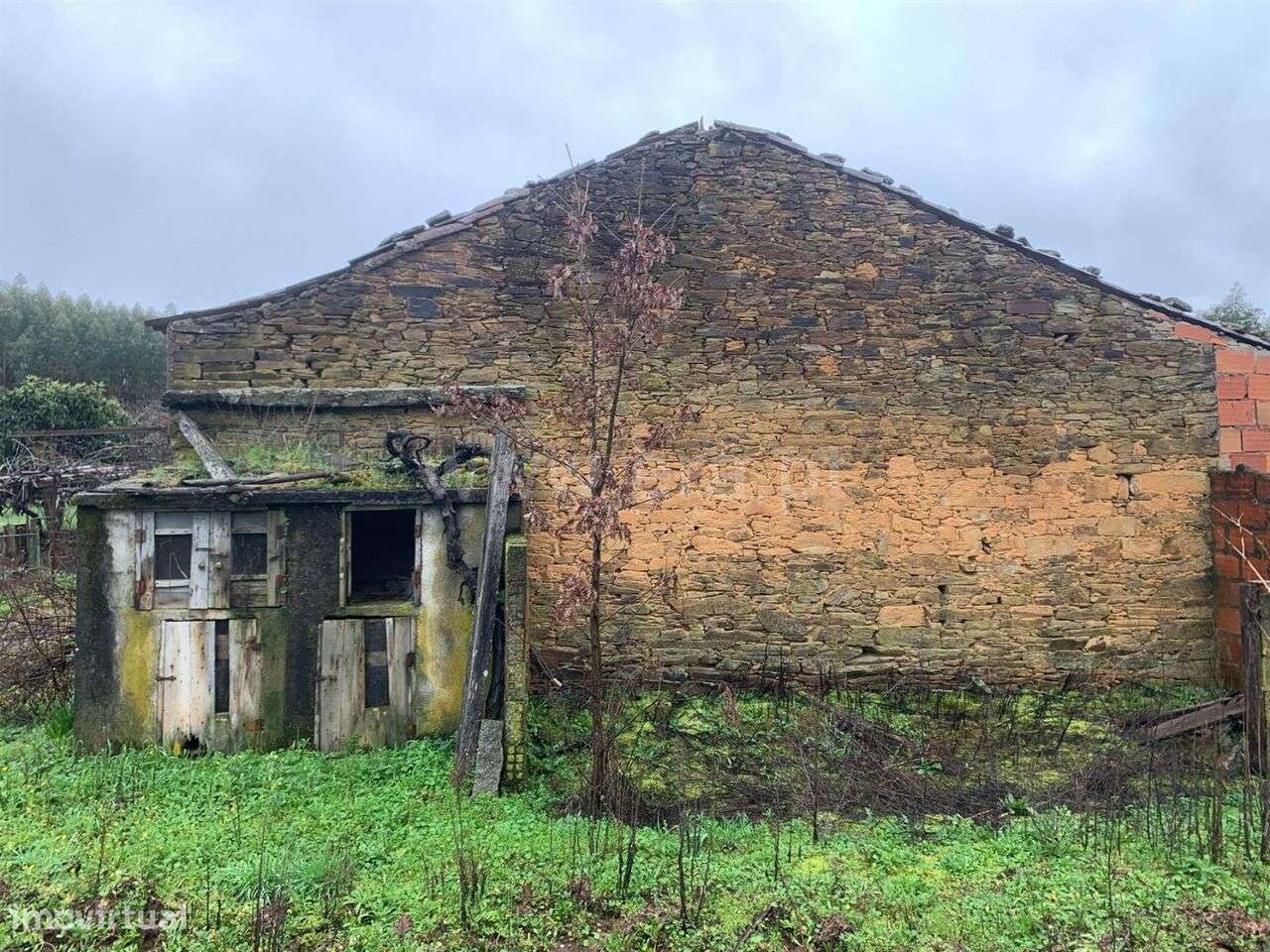 Terreno com ruina / Fundão, Fatela - Grande imagem: 3/19