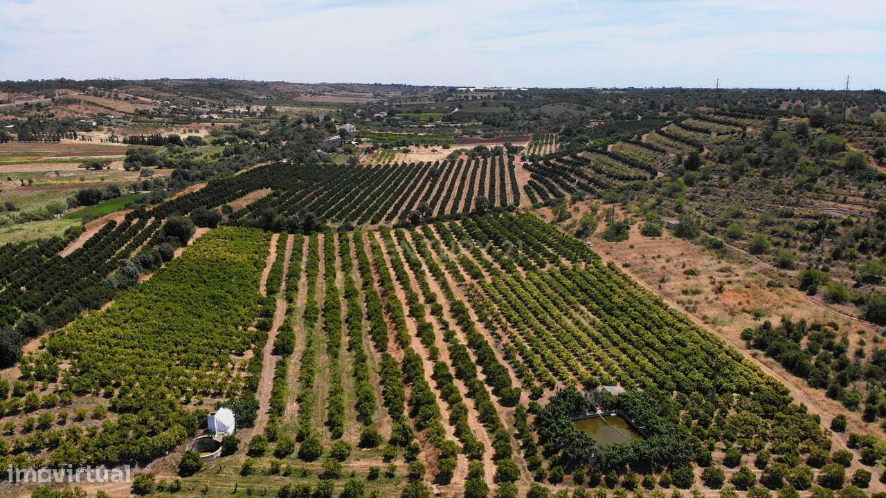 Tavira. Moradia com  implantação de 266 m2 e terreno de 14,5 ha,  em A - Grande imagem: 5/6