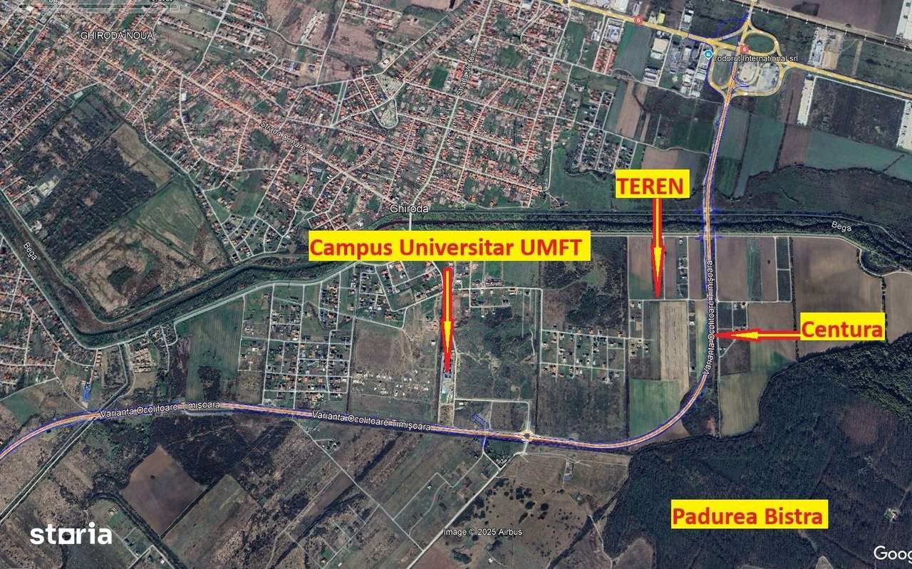 603mp Teren Ghiroda-Cartier Bistra-toate utilitatile - Imagine principală: 4/7