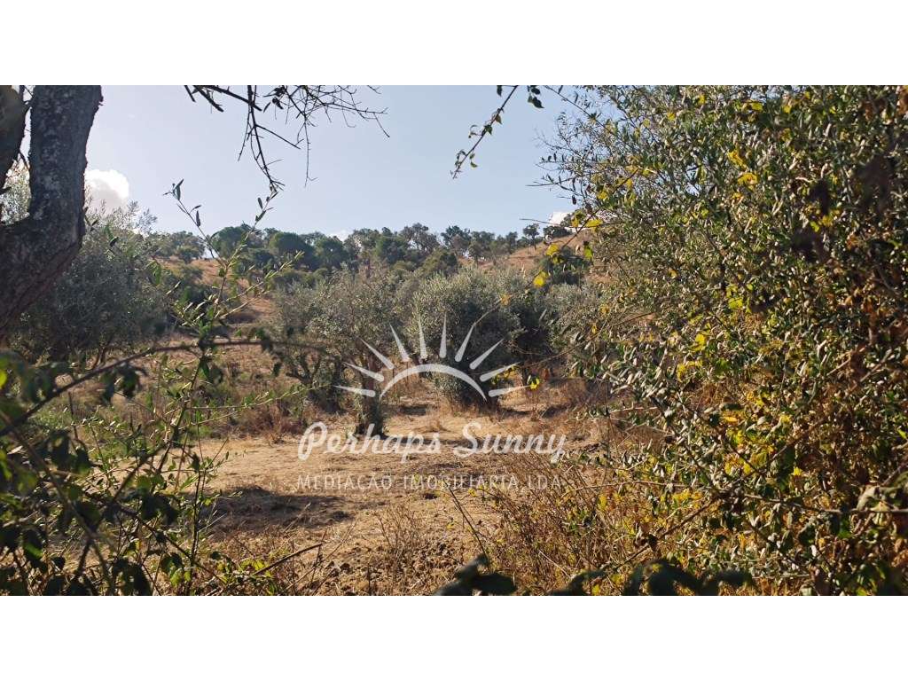 Terreno Rústico - Grande imagem: 4/17