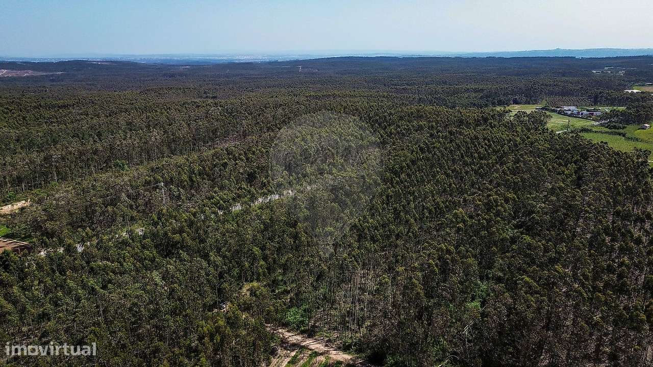 Terreno  para venda-7
