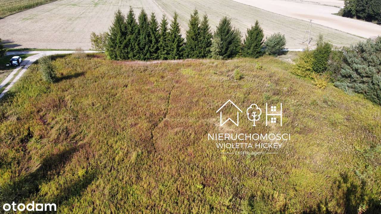 2 Działki w otoczeniu drzew – Wyszyna, gmina Stara Biała k Płocka-3