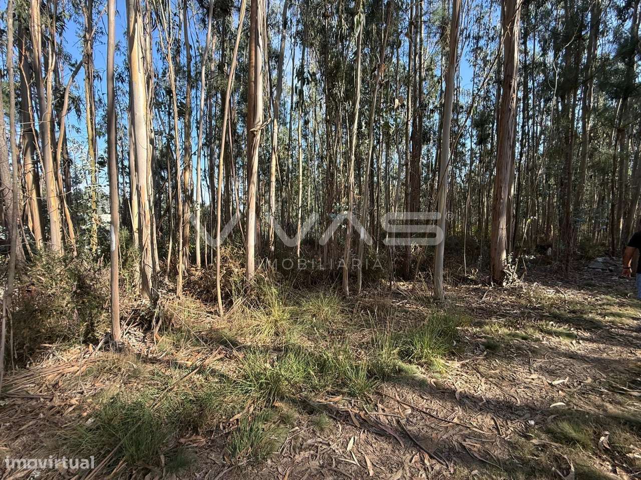Terreno Rústico  Venda em Associação de freguesias do Vale do Neiva,Po - Grande imagem: 5/12