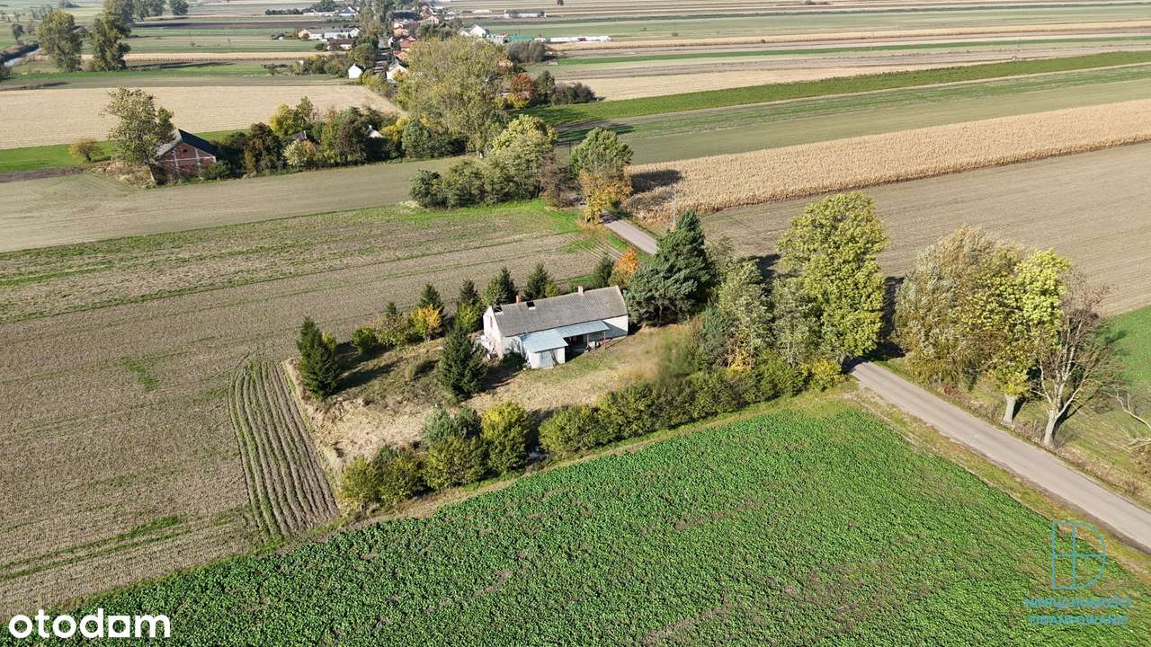 Działka z potencjałem wśród pól i zieleni – Gosławice, 2045 m²-14