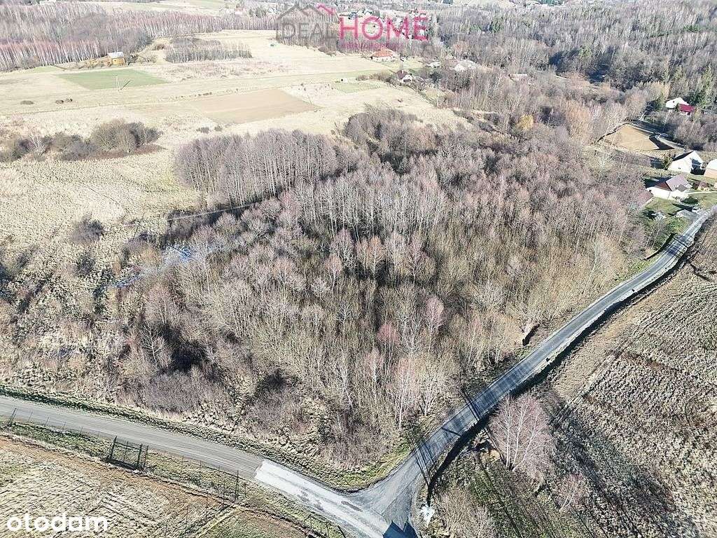 Działka na sprzedaż 94a - Nowy Borek - Pełny obrazek: 4/11