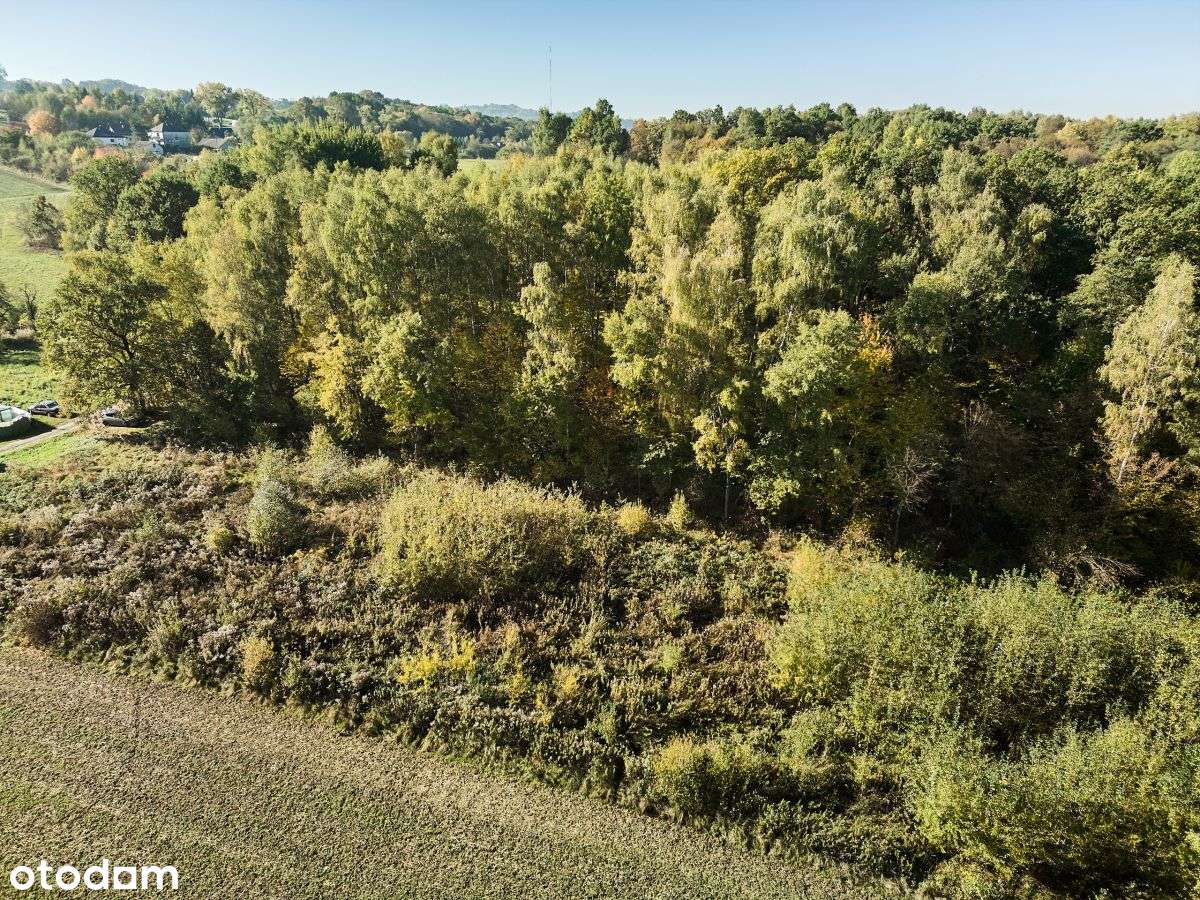 Działka rekreacyjna w cichej okolicy-5