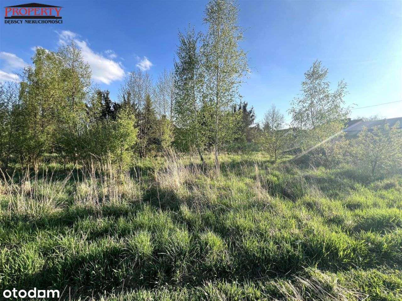 Kształtna działka budowlane w rej. Huta Jagodnica - Pełny obrazek: 4/8