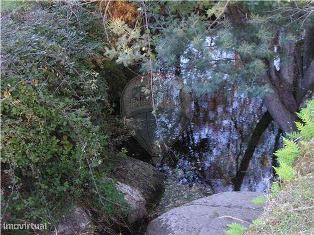 QUINTINHA C/ 2.720m²!! - Grande imagem: 3/9