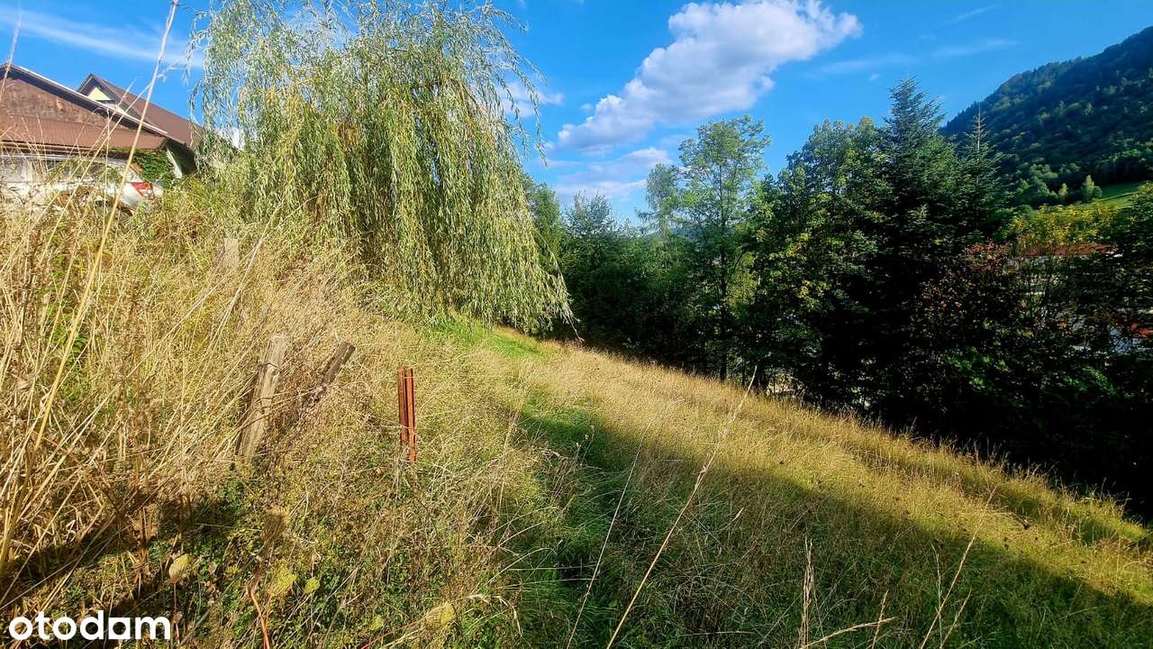 Kameralna działka w Szczawnicy-3