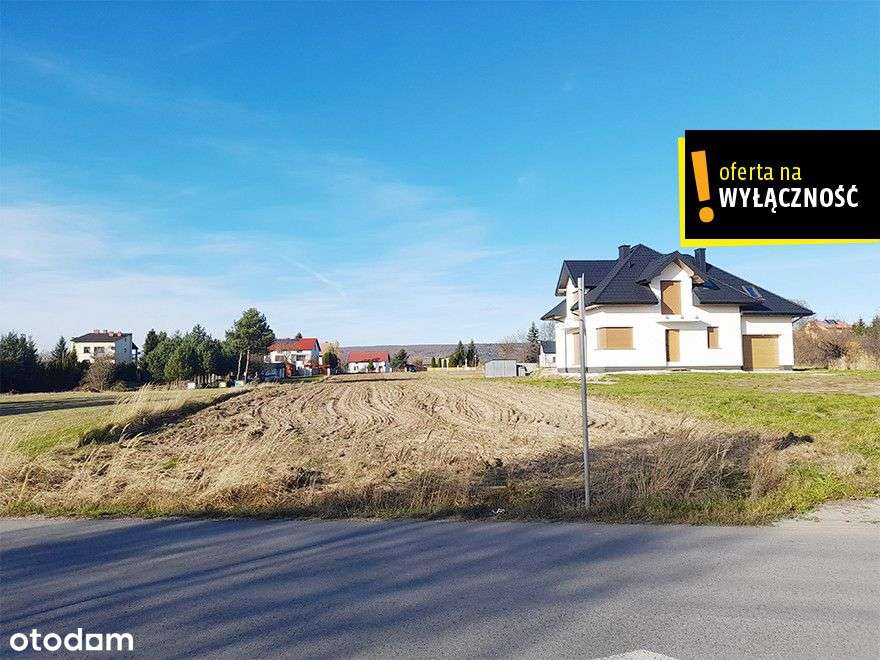 Piękna działka budowlana w Wilkowie 3000m2 - Pełny obrazek: 2/5