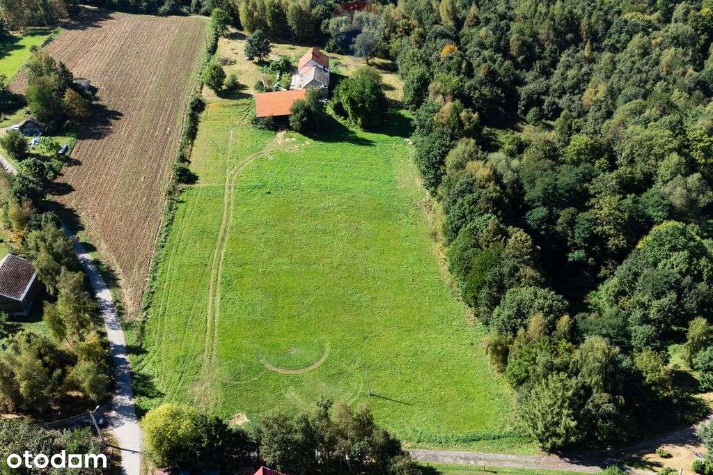 Działka budowlana 70ar media, droga asfaltowa - Pełny obrazek: 5/10