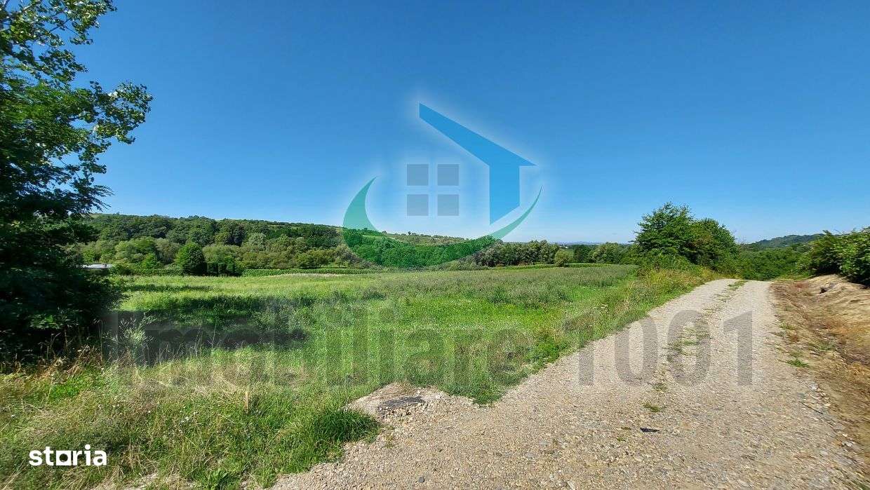 Teren intravilan, parcele 9 – 22 arii, Carbunari, acces la drum public - Imagine principală: 4/6