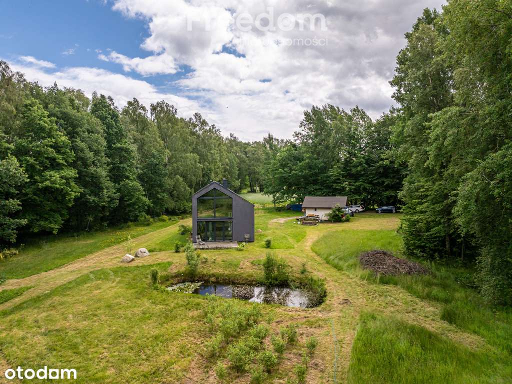 Duży teren z własnym lasem 12 minut od Obwodnicy - Pełny obrazek: 4/20