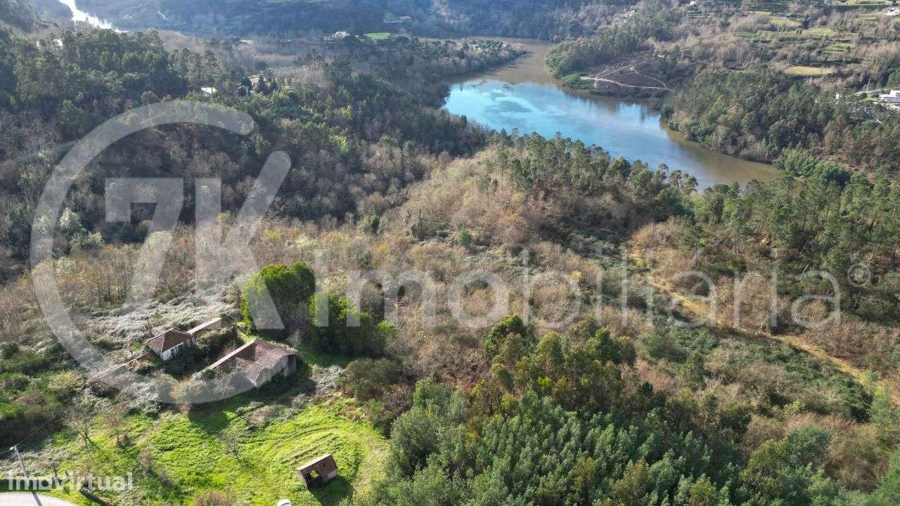 Quinta da Ribeirinha - Várzea, Aliviada e Folhada, - Grande imagem: 4/7