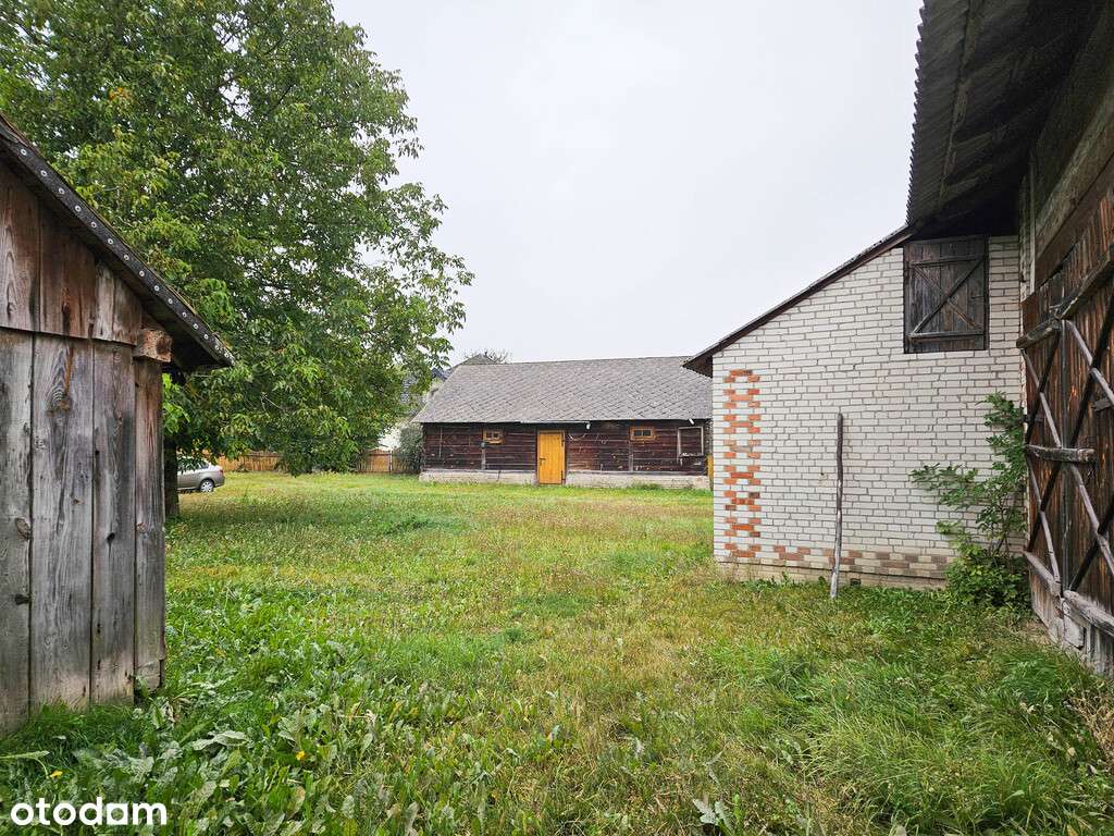 Malownicze Siedlisko, rzeka, las, Zalew Nielisz-16