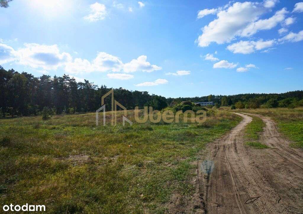 Działka przeznaczona  pod produkcję, magazyny-9