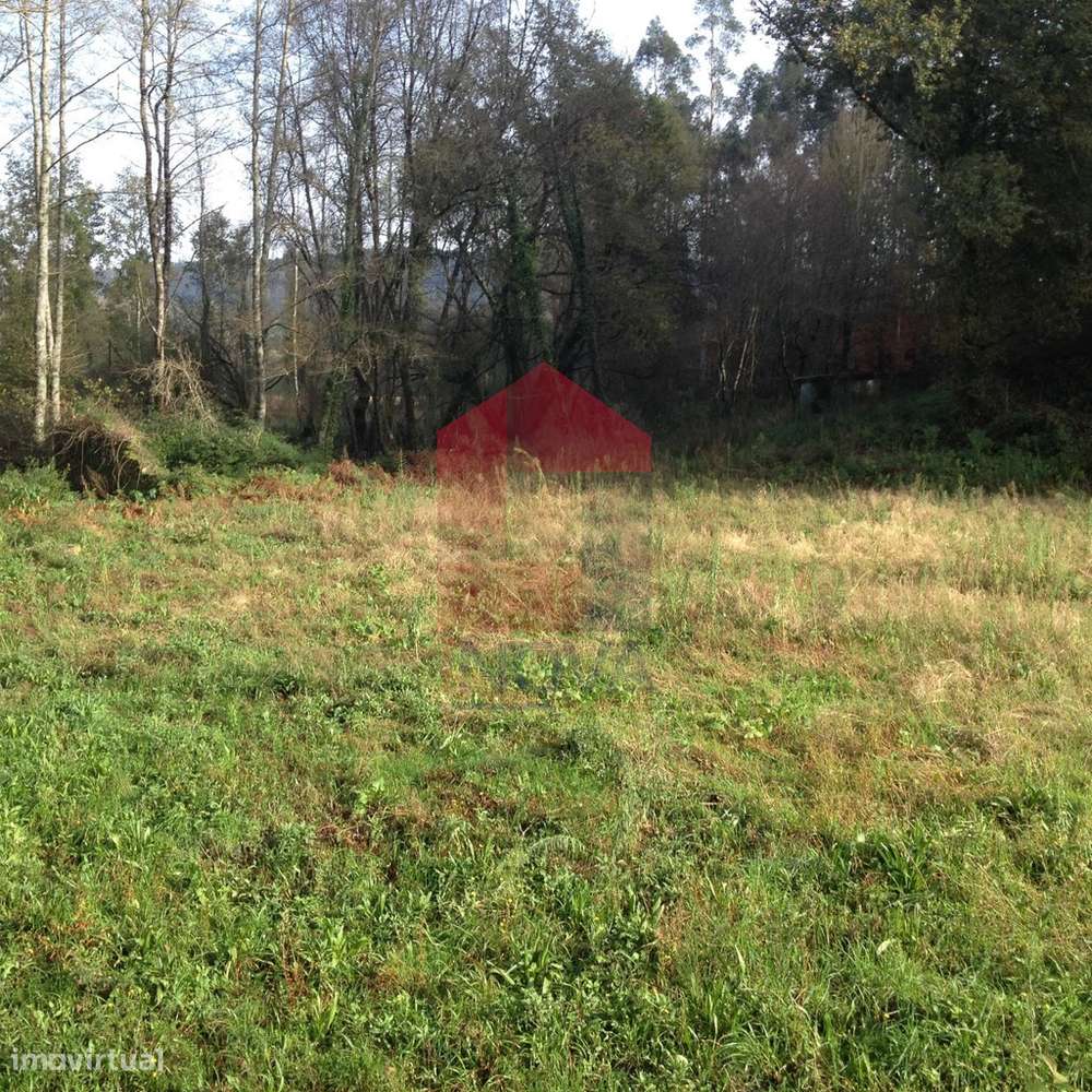 Moinho, Arcozelo - Grande imagem: 3/12