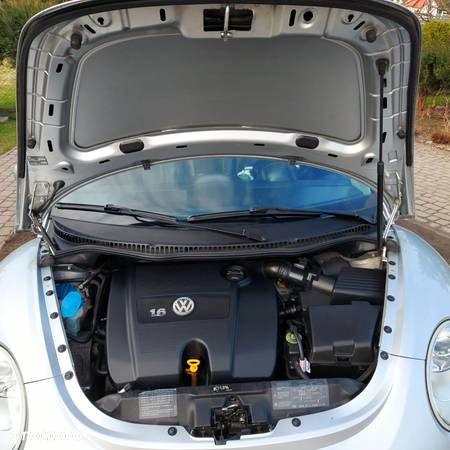 Volkswagen New Beetle 1.6 - 19