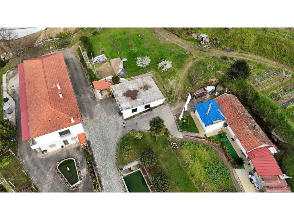 Quinta com 20.000 m² para Venda - Penacova-22