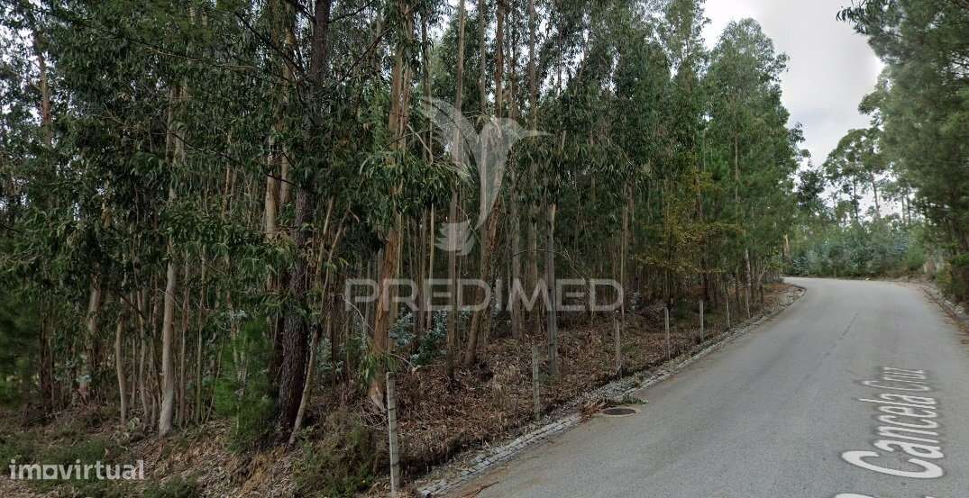 Terreno para Construção Sandim  – Potencial para Polo Industrial - Grande imagem: 5/9