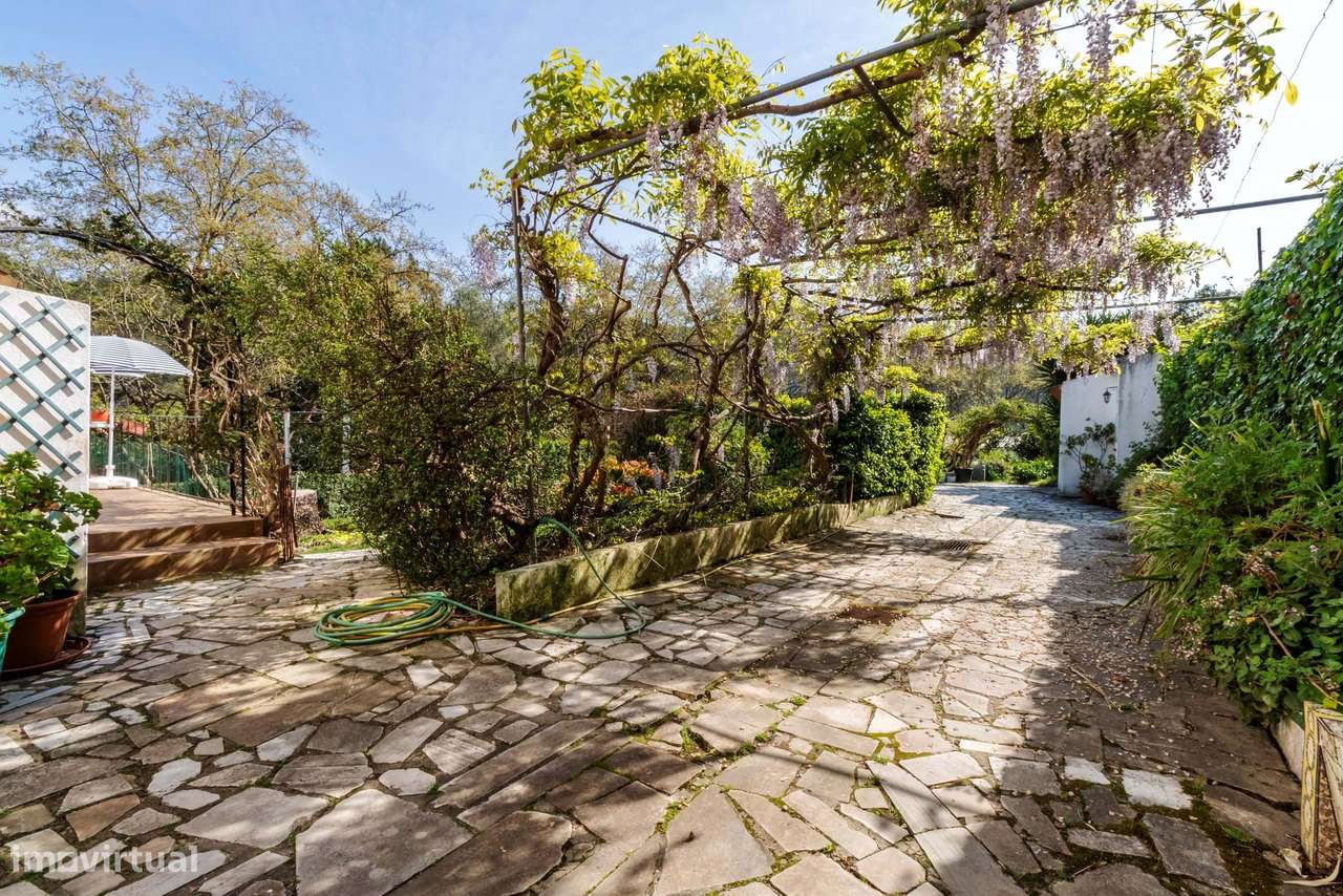 Moradia T6 c/ Terreno de 1600m2 c/ Piscina, Garagem e Anexos em Colare-6